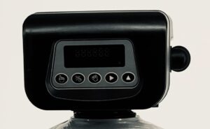 WFOAS100 Valve